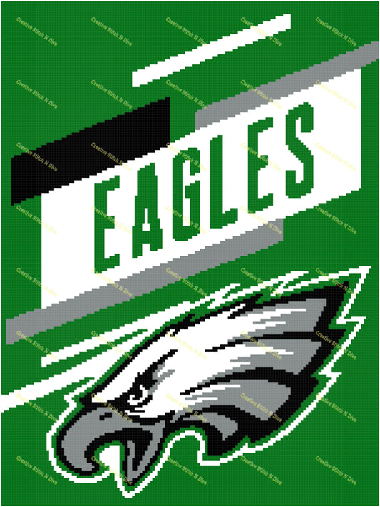 Philadelphia Eagles Splash 150x200