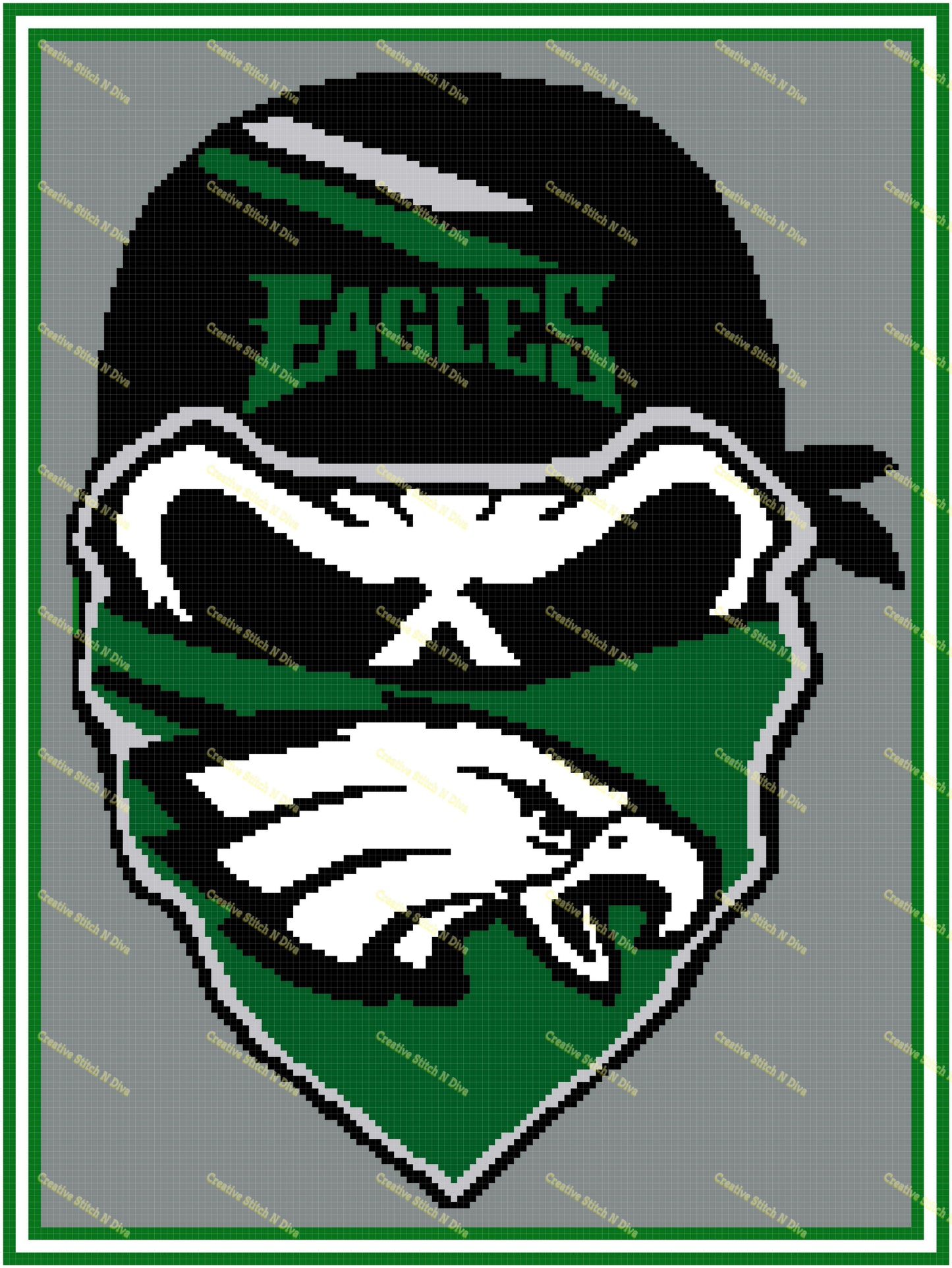 Philadelphia Eagles Skull 150x200 PLAIN