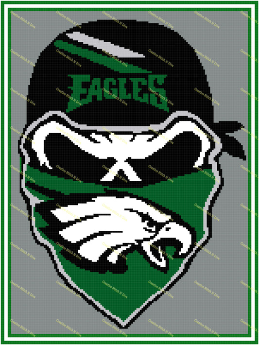 Philadelphia Eagles Skull 150x200 PLAIN