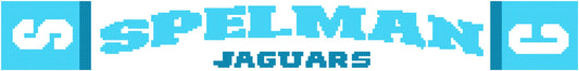 Spelman University Scarf 250x30