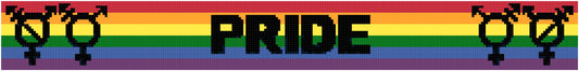 Gay Pride Scarf 250x30