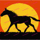 Horse On The Sunset 200x150 PERSONALIZED
