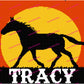 Horse On The Sunset 200x150 PERSONALIZED