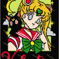 Sailor Moon with Name 150x200 Valentine