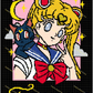 Sailor Moon with Name 150x200 PLAIN