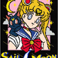 Sailor Moon with Name 150x200 PLAIN